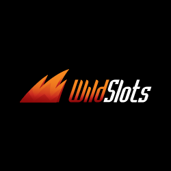 wild-slots-steve2 wildslots